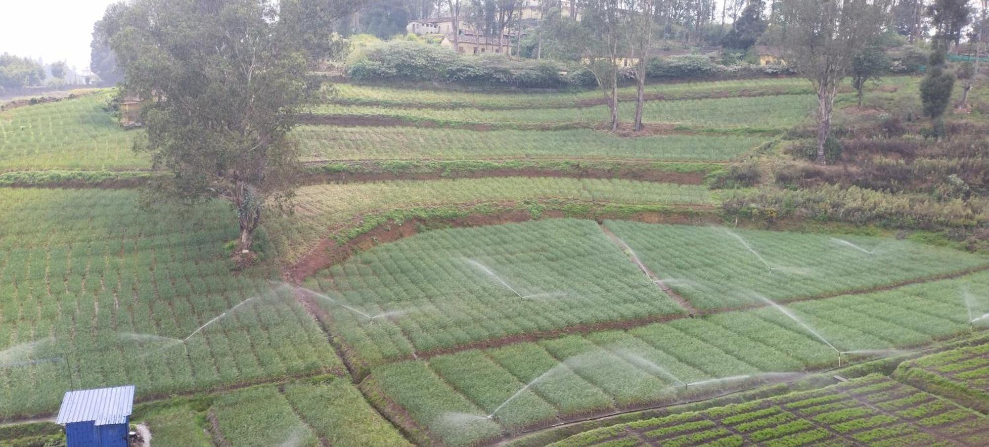 J J Homes Ooty Exterior photo